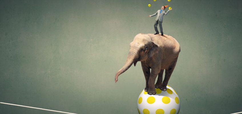 Man juggling on elephant